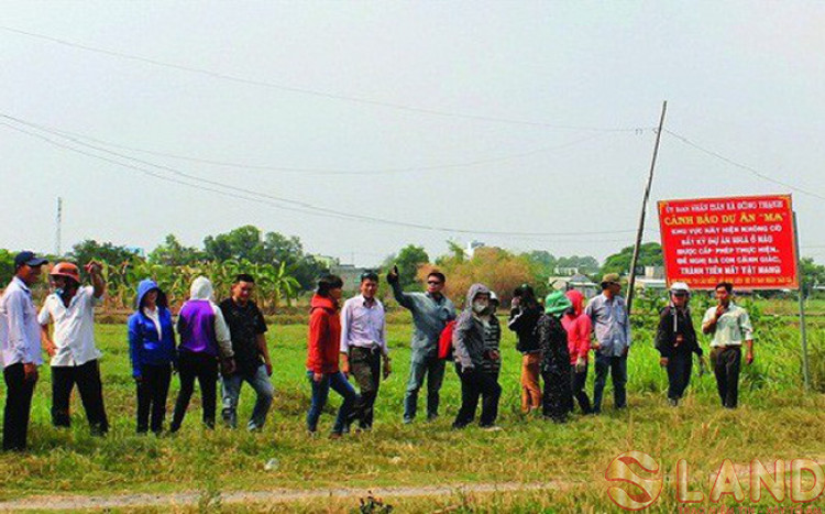 Công ty Angel Lina bị tố bán hàng loạt dự án “ma”