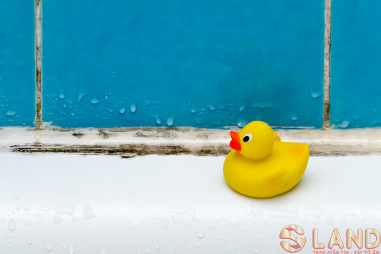 Mách bạn những cách đơn giản giúp giảm độ ẩm trong phòng tắm