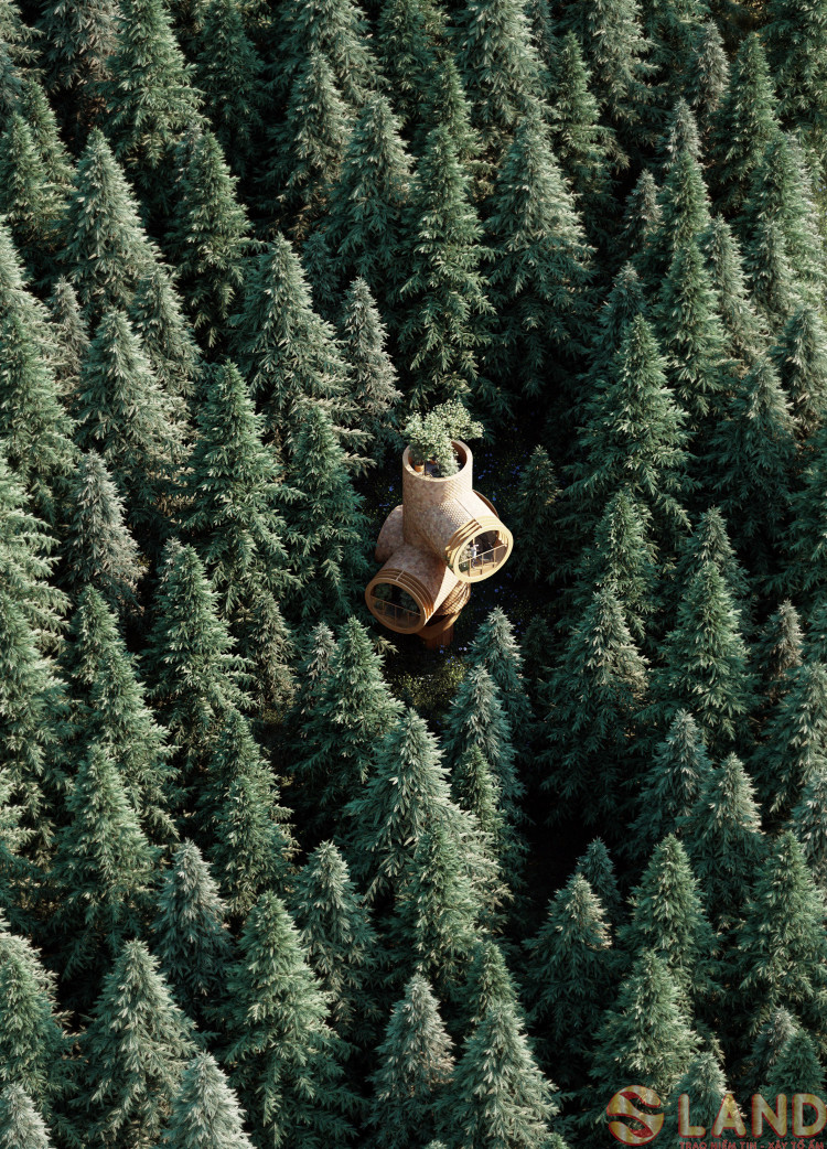 Bert – Nhà cây lấy cảm hứng từ hình tượng nhân vật hoạt hình