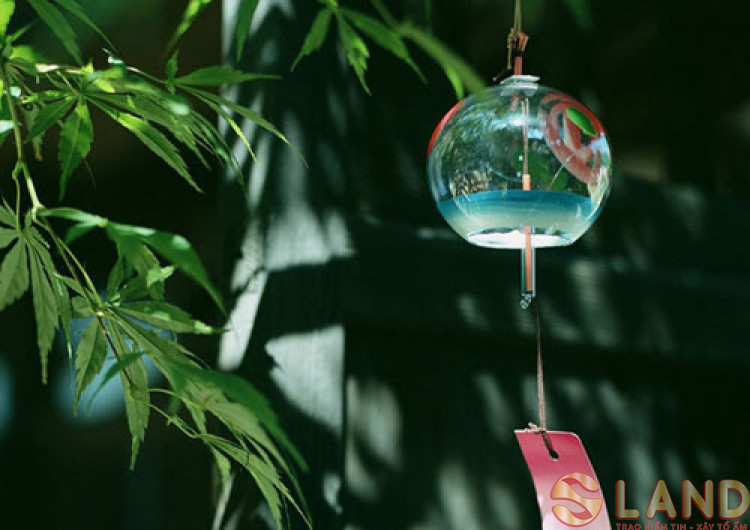 Những vị 'cứu tinh' trong bài trí phong thủy ở nhà