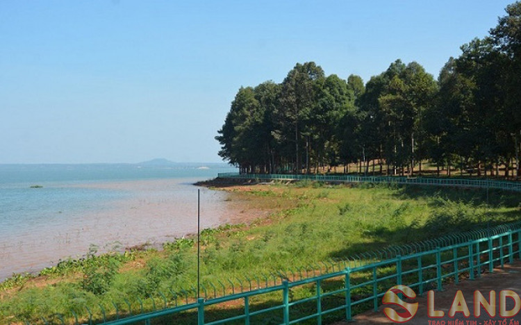 2 doanh nghiệp Hà Nội vừa trúng đấu giá đất vàng 2.855 tỷ đồng ở Đồng Nai