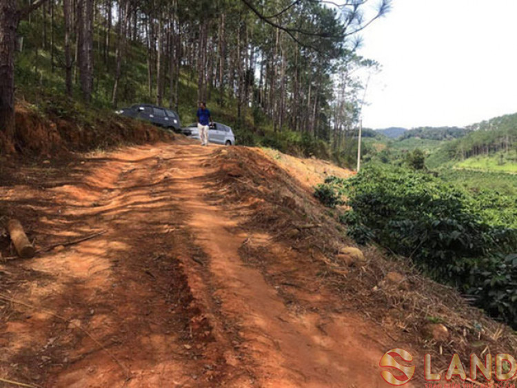 Loạn "cò" đất vùng quê